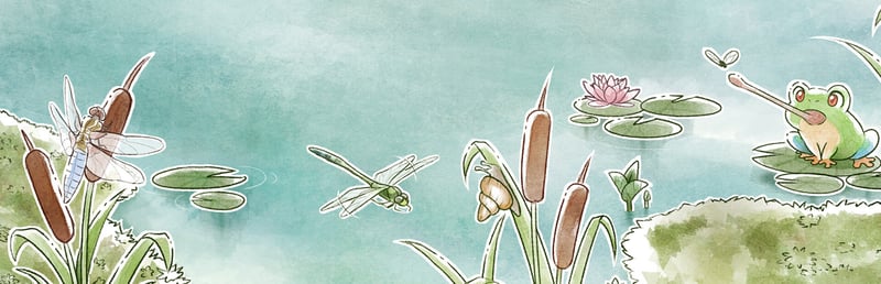 Kamaeru: A Frog Refuge Demo