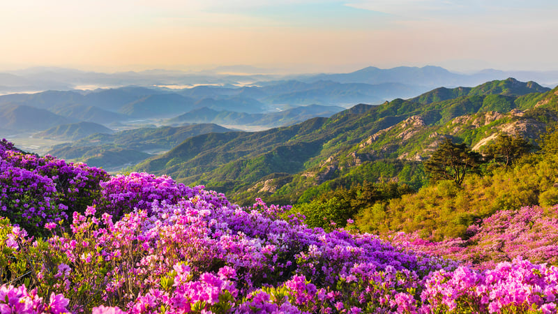 Just Find It 3 Collector's Edition