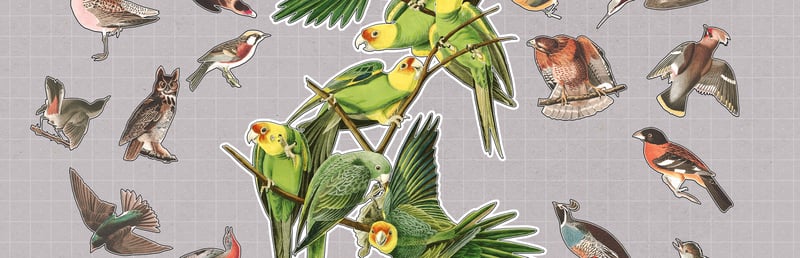 Birds Huddled Together