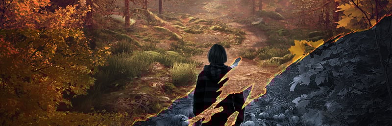 The Vanishing of Ethan Carter