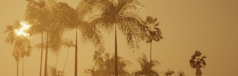 Official cover for Miami Hotel Simulator Prologue on Steam