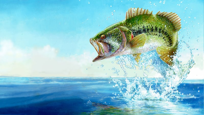 Official cover for Fishing Sim World: Bass Pro Shops Edition on XBOX