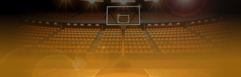 Official cover for Draft Day Sports: Pro Basketball 2024 on Steam