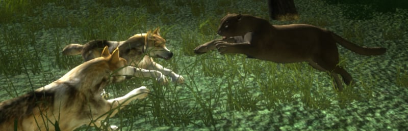 Official cover for Untamed: Life Of A Cougar on Steam