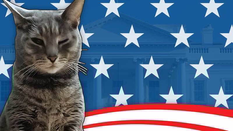 Official cover for Cat President: A More Purrfect Union on XBOX