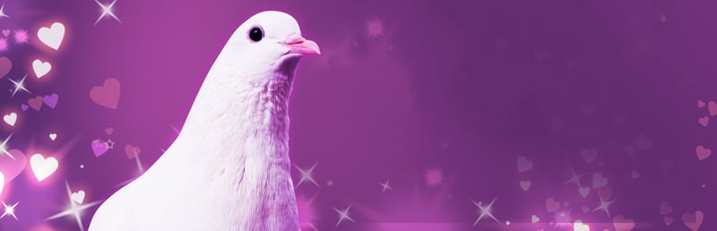 Official cover for Hatoful Boyfriend on Steam