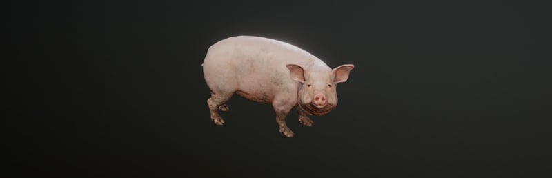 Official cover for Pih on Steam