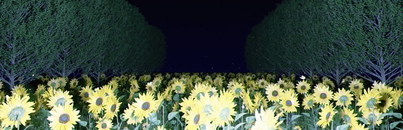 Official cover for 杀青:序章 on Steam