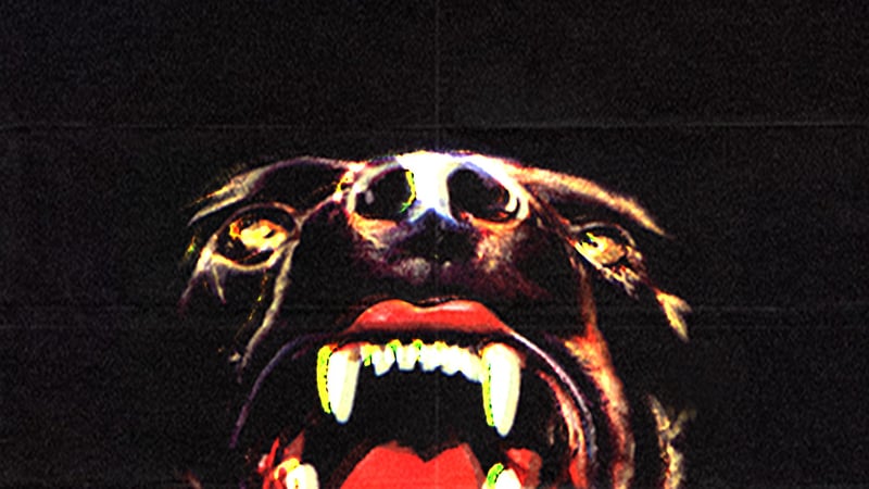 Official cover for Canine on XBOX