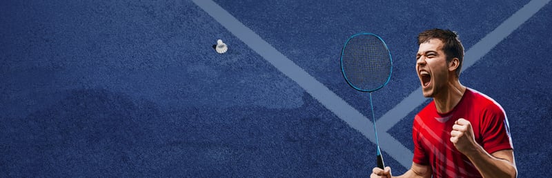 Official cover for Pure Badminton on Steam