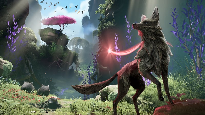 Official cover for Lost Ember: Rekindled Edition on XBOX