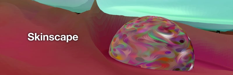 Official cover for Skinscape on Steam