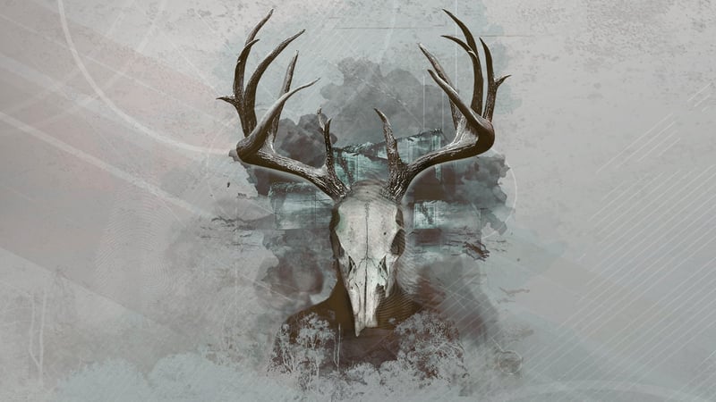 Official cover for Intruders: Hide and Seek on XBOX