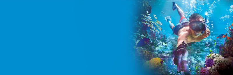 Official cover for CyberLink PowerDirector 19 Ultra on Steam