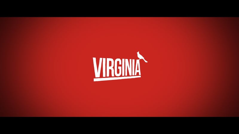 Official cover for Virginia on PlayStation