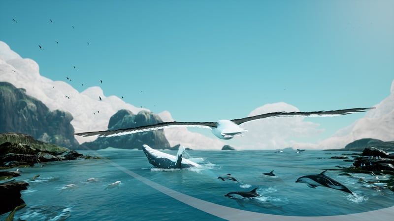 Official cover for Toroa: Skycall on XBOX