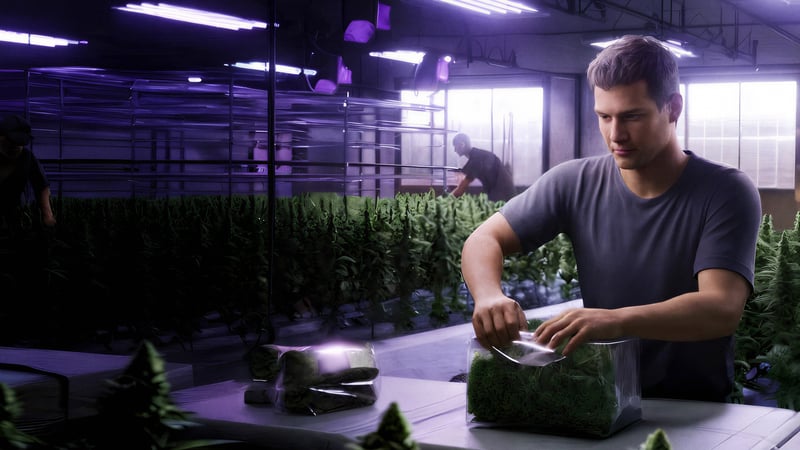 Official cover for Weed Lord Simulator on PlayStation