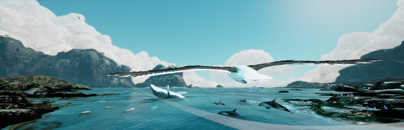 Official cover for Toroa: Skycall on Steam