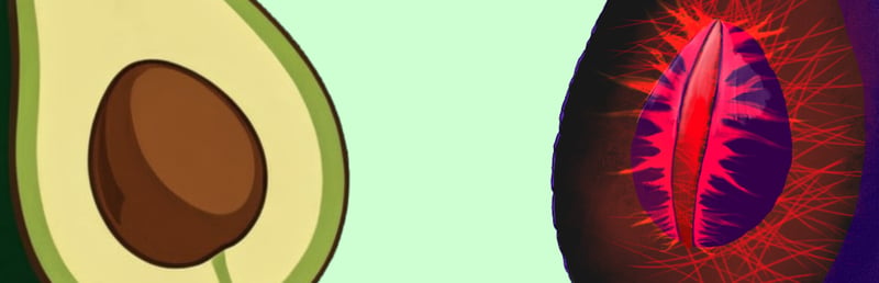 Official cover for Avocado on Steam