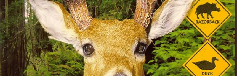 Official cover for Redneck Deer Huntin' on Steam