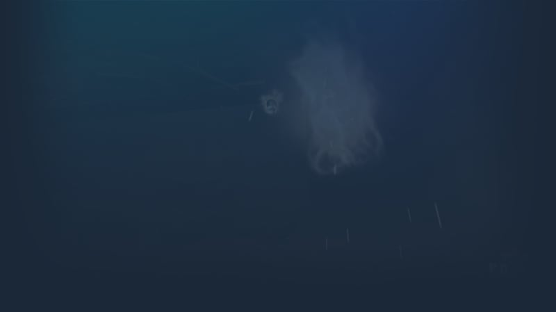 Official cover for HordeZ on Steam
