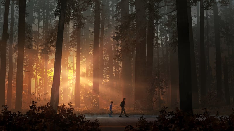 Official cover for Life is Strange 2 Episode 1 on XBOX