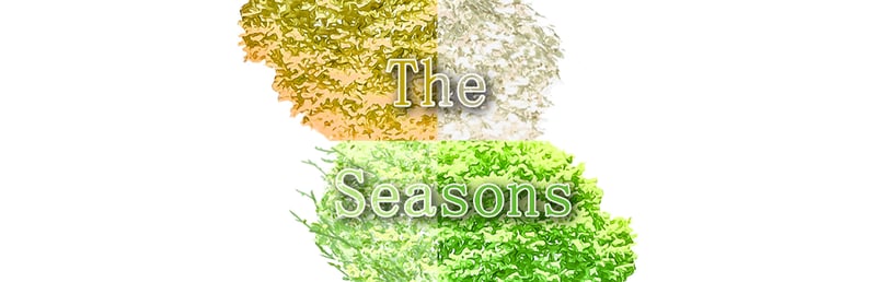 Official cover for The Seasons on Steam