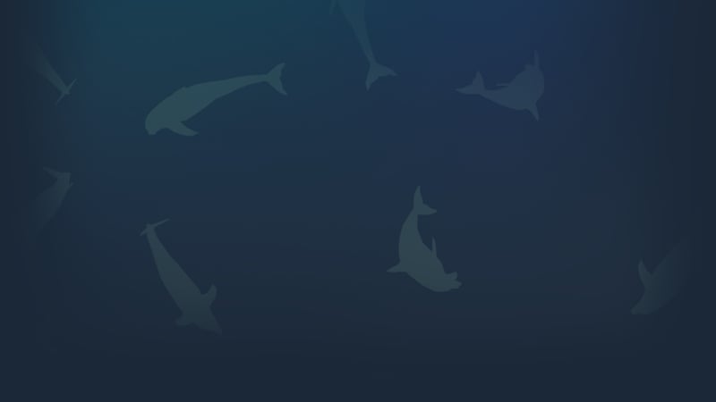 Official cover for Dolphin Defense on Steam