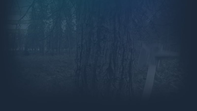 Official cover for Corma on Steam
