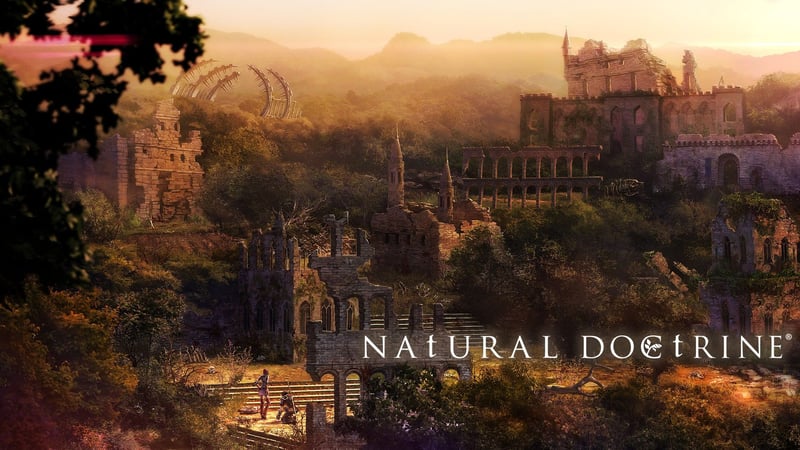 Official cover for NAtURAL DOCtRINE on PlayStation