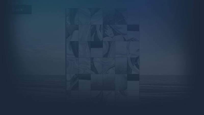 Official cover for Hentai puzzle ? Not again.... on Steam