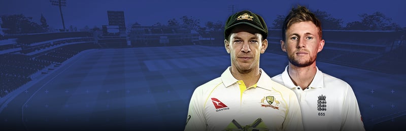 Official cover for Cricket 19 on Steam