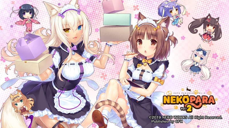 Official cover for Neko Para Vol.2 on PlayStation