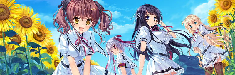 Official cover for 追忆夏色年华 on Steam