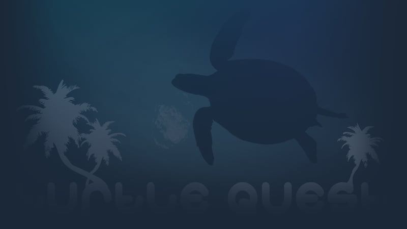 Official cover for Turtle Quest on Steam