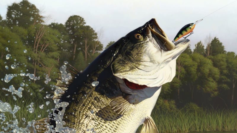 Official cover for Rapala Fishing: Pro Series on XBOX