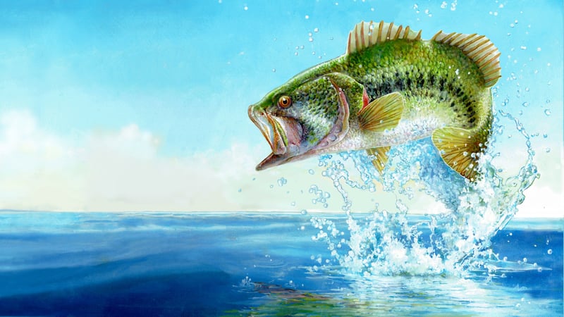 Official cover for Fishing Sim World: Bass Pro Shops Edition on PlayStation