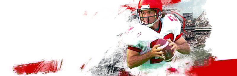 Official cover for Doug Flutie's Maximum Football 2020 on Steam