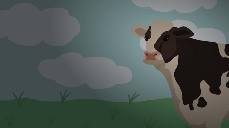 Official cover for The Cow G on PlayStation