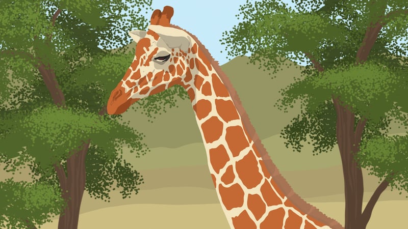 Official cover for The Giraffe G on PlayStation