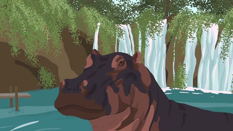 Official cover for The Hippo G on PlayStation