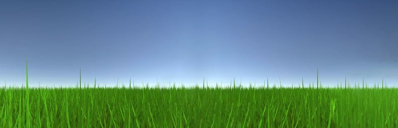 Official cover for Touch Some Grass on Steam