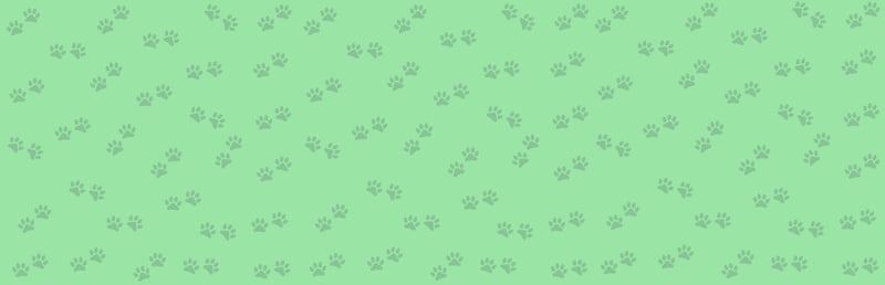 Official cover for 1001 Jigsaw. Cute Cats 2 on Steam