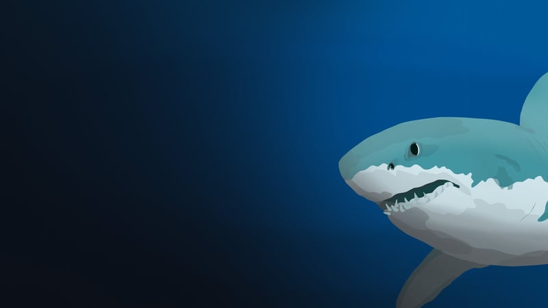 Official cover for The Shark T on PlayStation