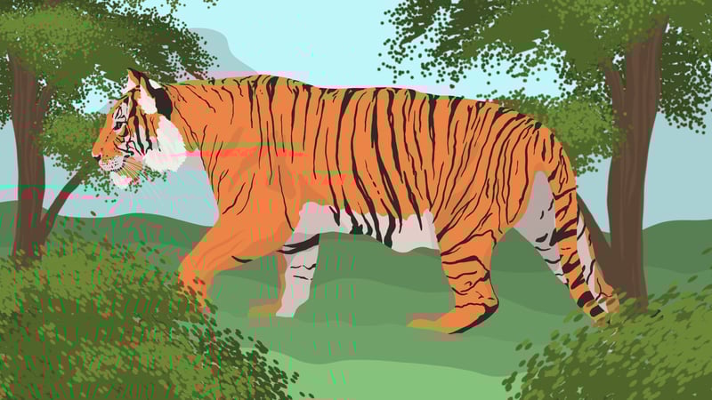 Official cover for The Tiger T on PlayStation