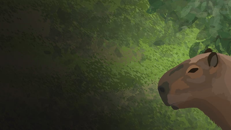 Official cover for The Capybara P on PlayStation