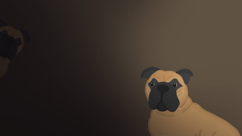 Official cover for The Dog Quiz on PlayStation