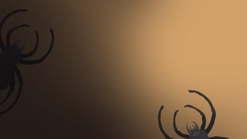 Official cover for The Spidy Quiz on PlayStation