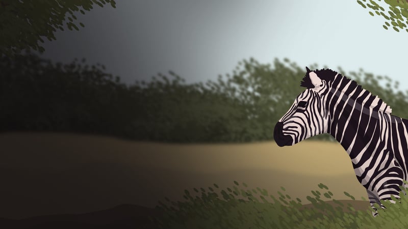 Official cover for The Zebra Z on PlayStation
