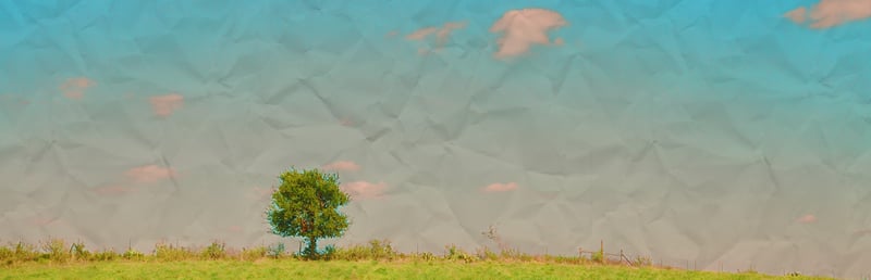 Official cover for Anemoiapolis on Steam